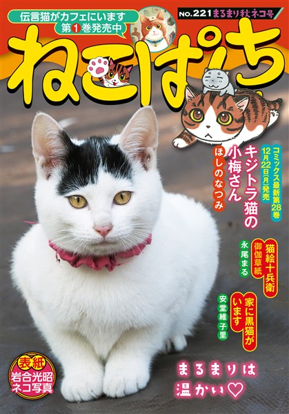 ねこぱんち No.221 まるまり秋ネコ号
