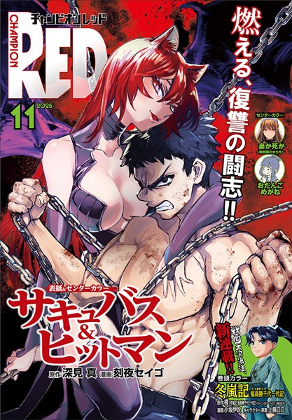 チャンピオンRED 2025年11月号