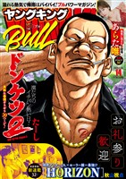 ヤングキングBULL 2025年14号