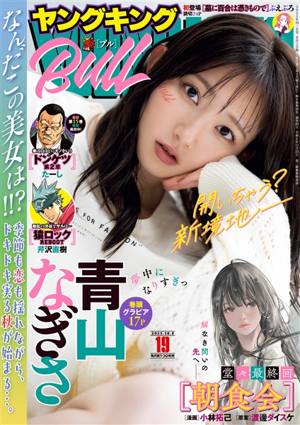 ヤングキングBULL 2025年19号